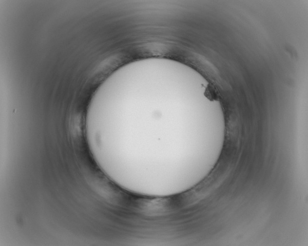 X0000112380122200909032001