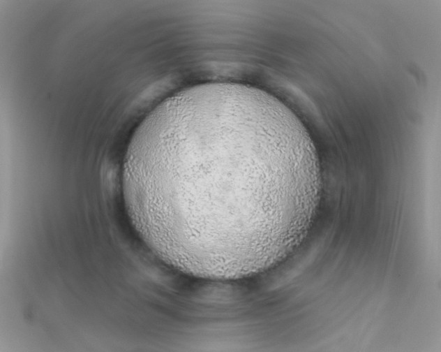 X0000112380123200909032001