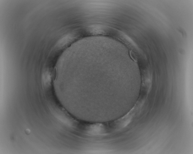 X0000112380124200909032001