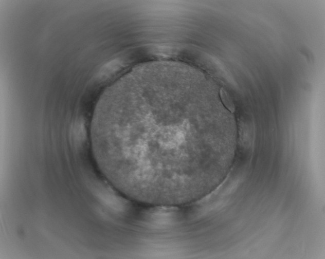 X0000112380128200909032001