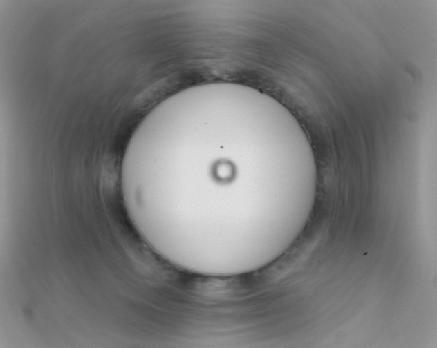 X0000112380129200909032001