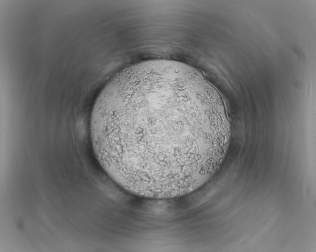 X0000112380131200909032001