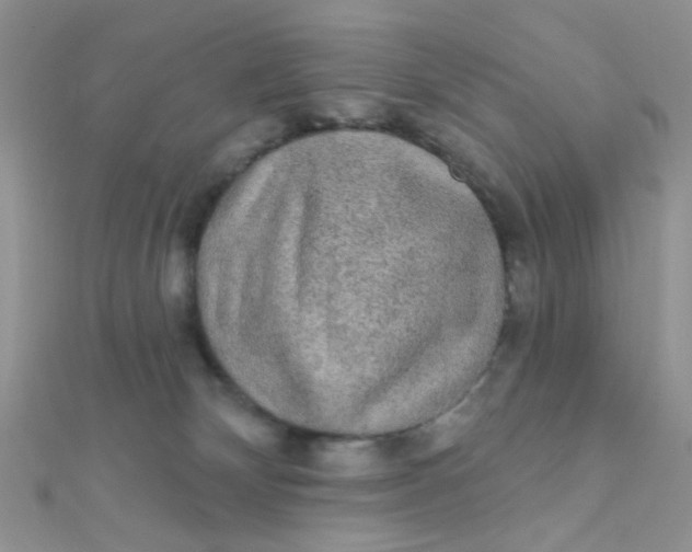 X0000112380132200909032001