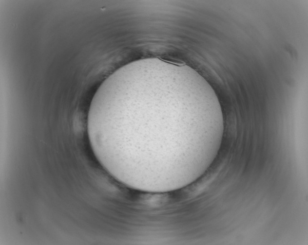 X0000112380135200909032000