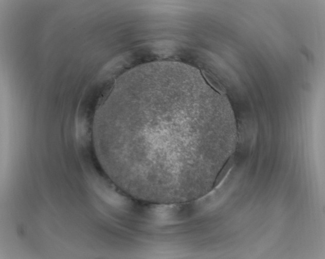 X0000112380136200909032000