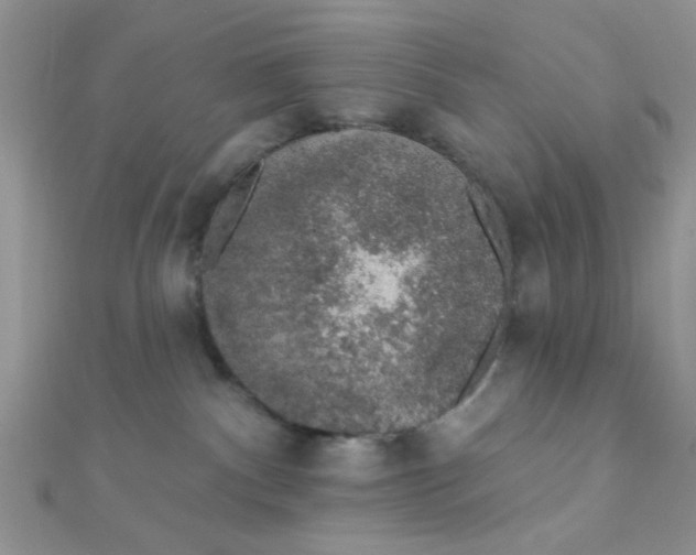 X0000112380140200909032000