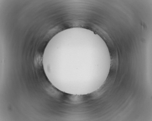 X0000112380142200909032000