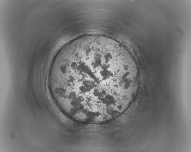 X0000112380145200909032000