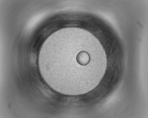 X0000112380146200909032000