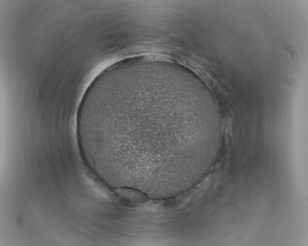 X0000112380148200909032000