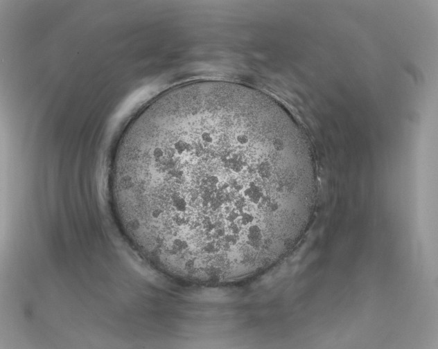 X0000112380149200909032000