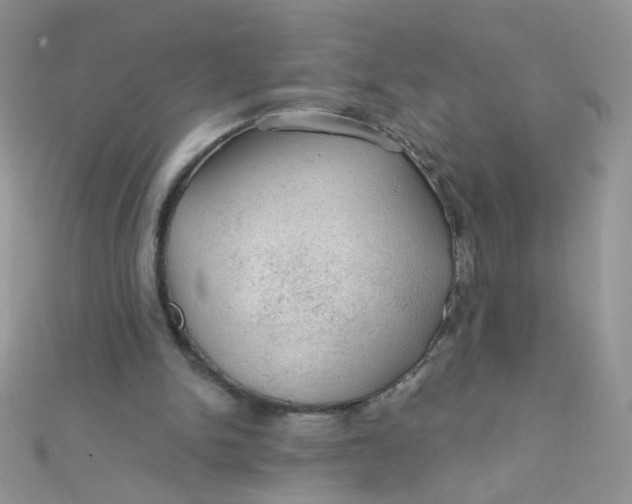 X0000112380150200909032000