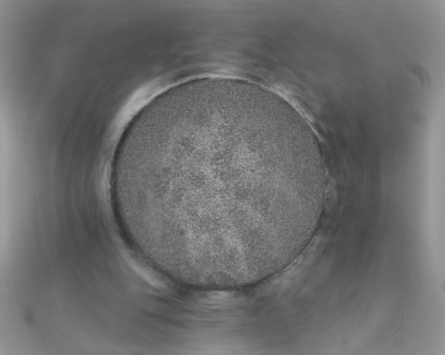 X0000112380151200909032000