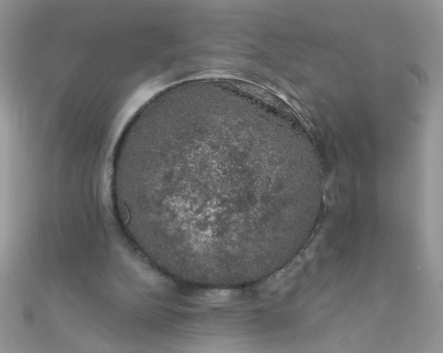 X0000112380152200909032000