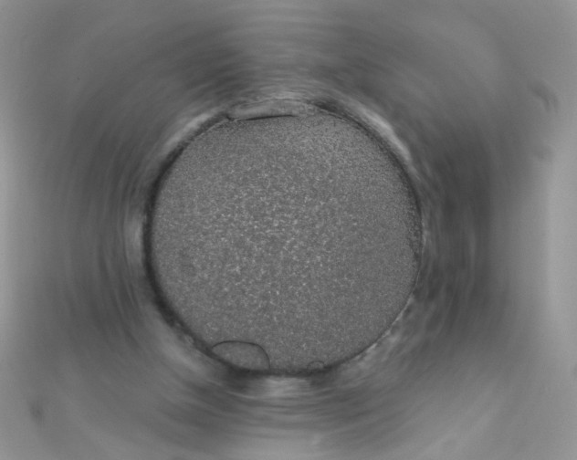 X0000112380154200909032000