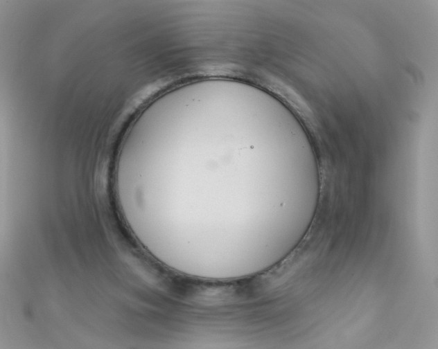 X0000112380155200909032000