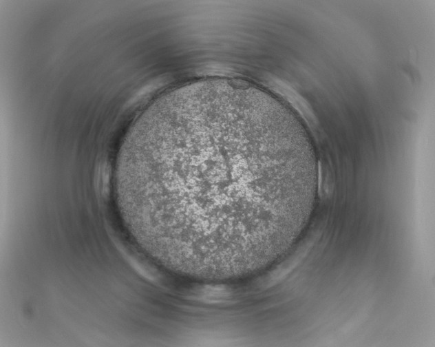 X0000112380157200909032000