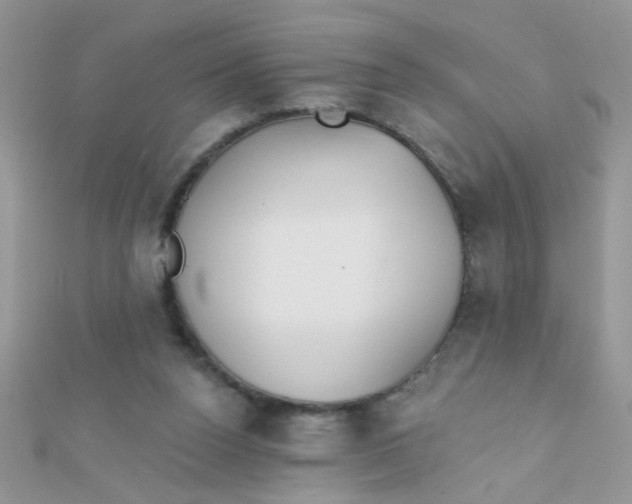 X0000112380160200909032000