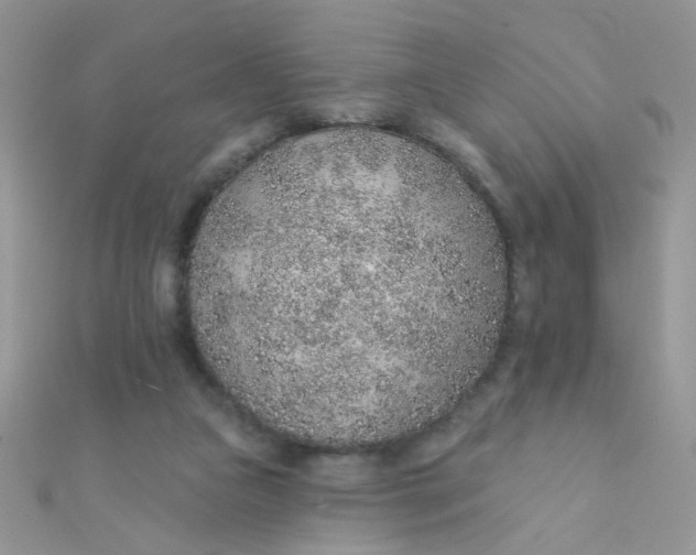 X0000112380161200909032000