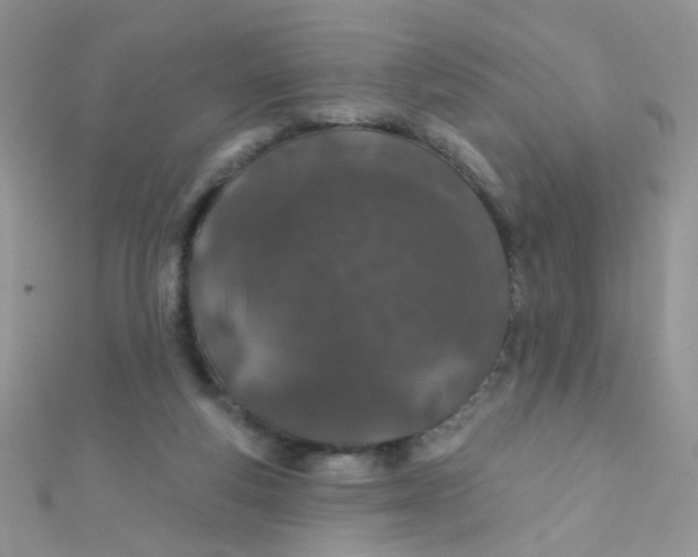 X0000112380163200909032000