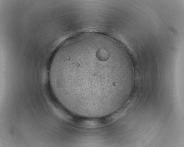 X0000112380164200909032000