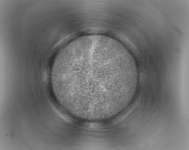 X0000112380165200909032000