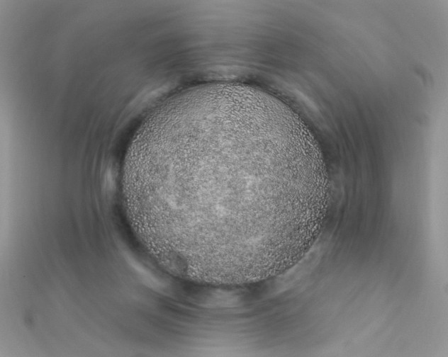 X0000112380166200909032000