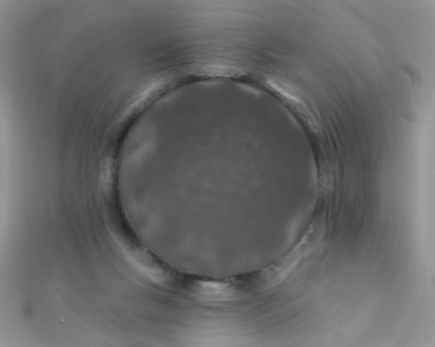 X0000112380167200909032000