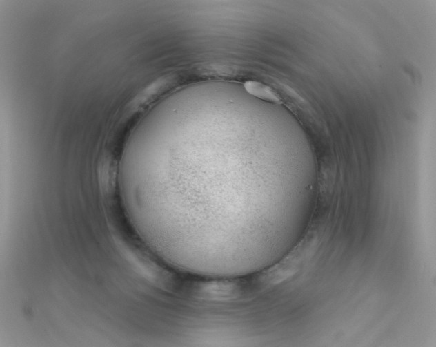 X0000112380168200909032000