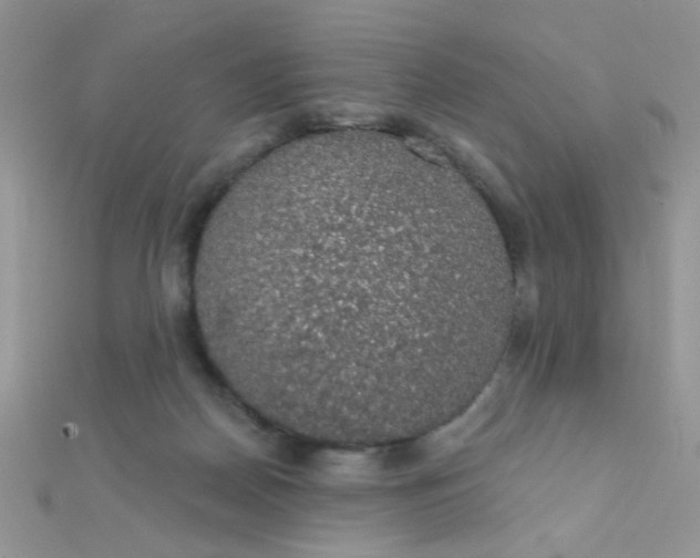 X0000112380170200909032000