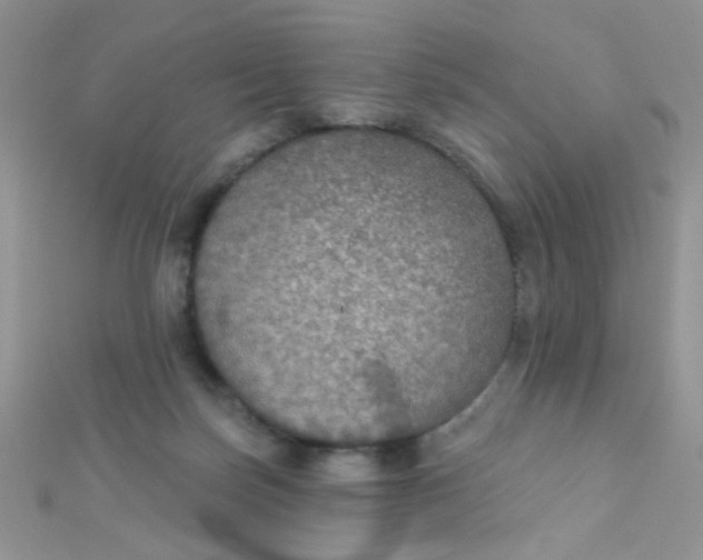 X0000112380171200909032000