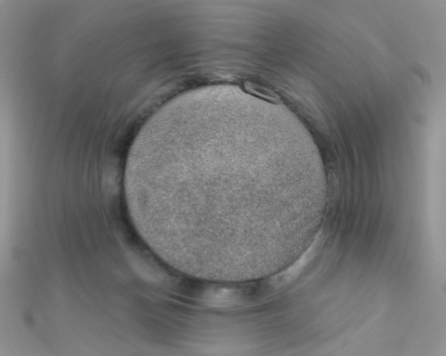 X0000112380174200909032000