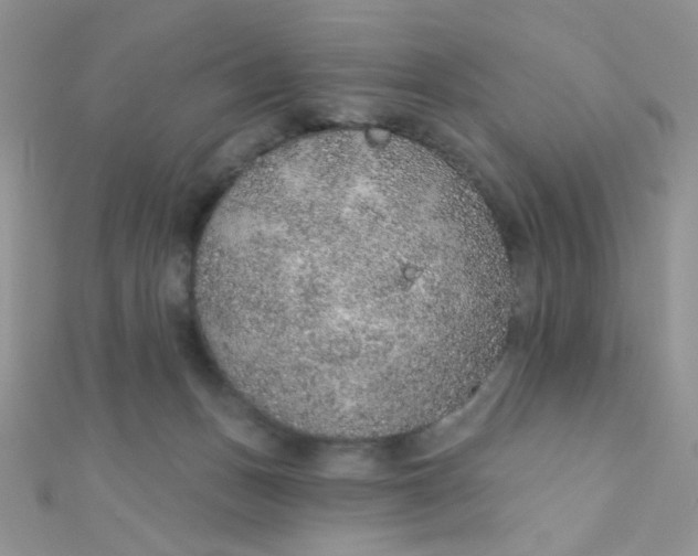 X0000112380175200909032000