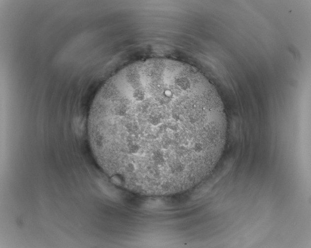 X0000112380177200909032000