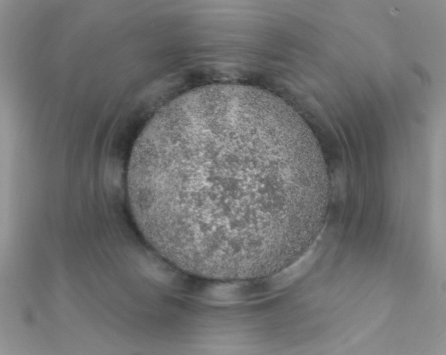 X0000112380178200909032000