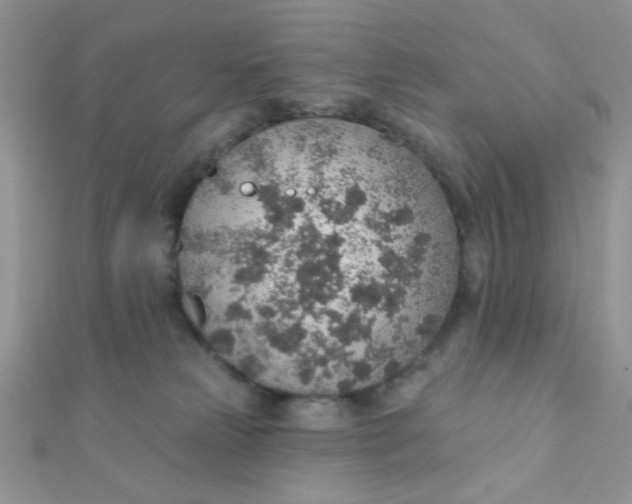 X0000112380181200909032000