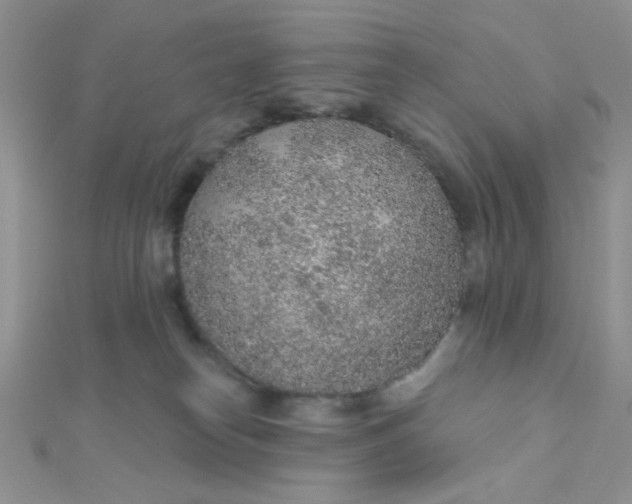 X0000112380182200909032000