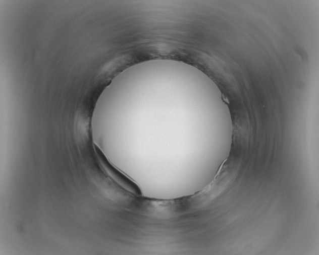 X0000112380188200909032000