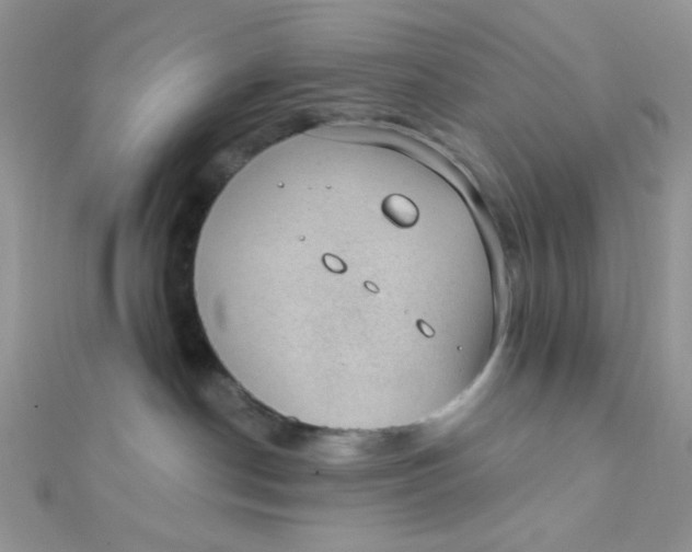 X0000112380190200909032000