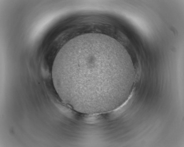 X0000112380191200909032000