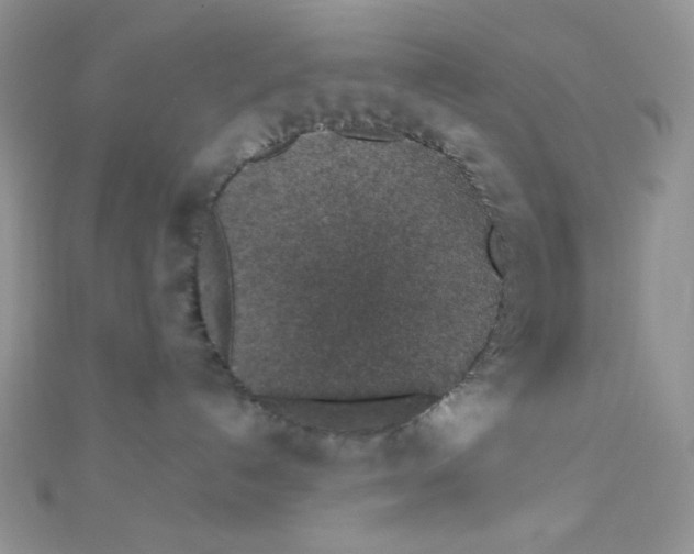 X0000112380192200909032000