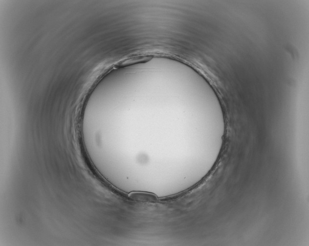 X0000112380193200909032000