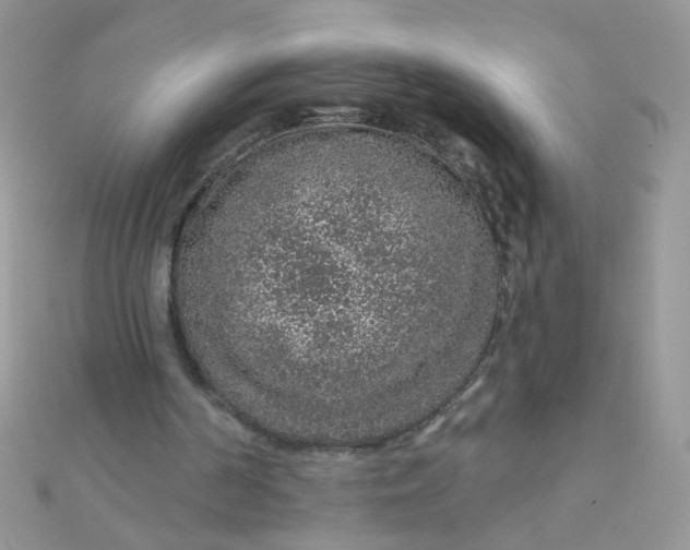 X0000112380194200909032000