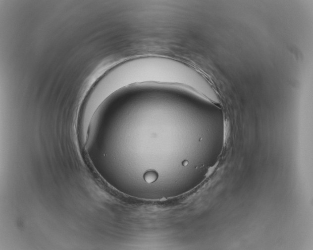 X0000112380195200909032000