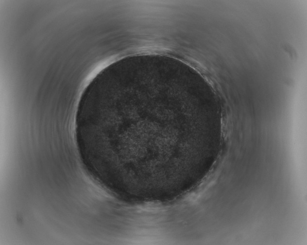 X0000112380196200909032000