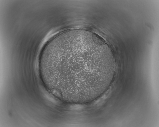 X0000112380198200909032000