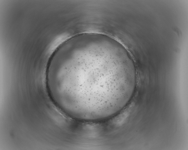 X0000112380199200909032000