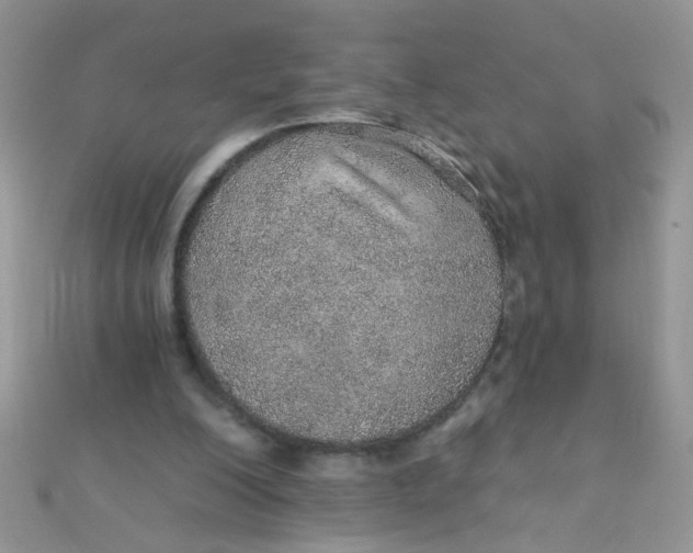 X0000112380200200909032000