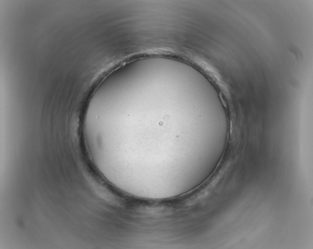 X0000112380201200909032000