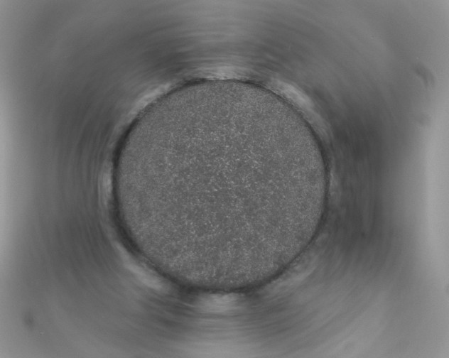 X0000112380202200909031959